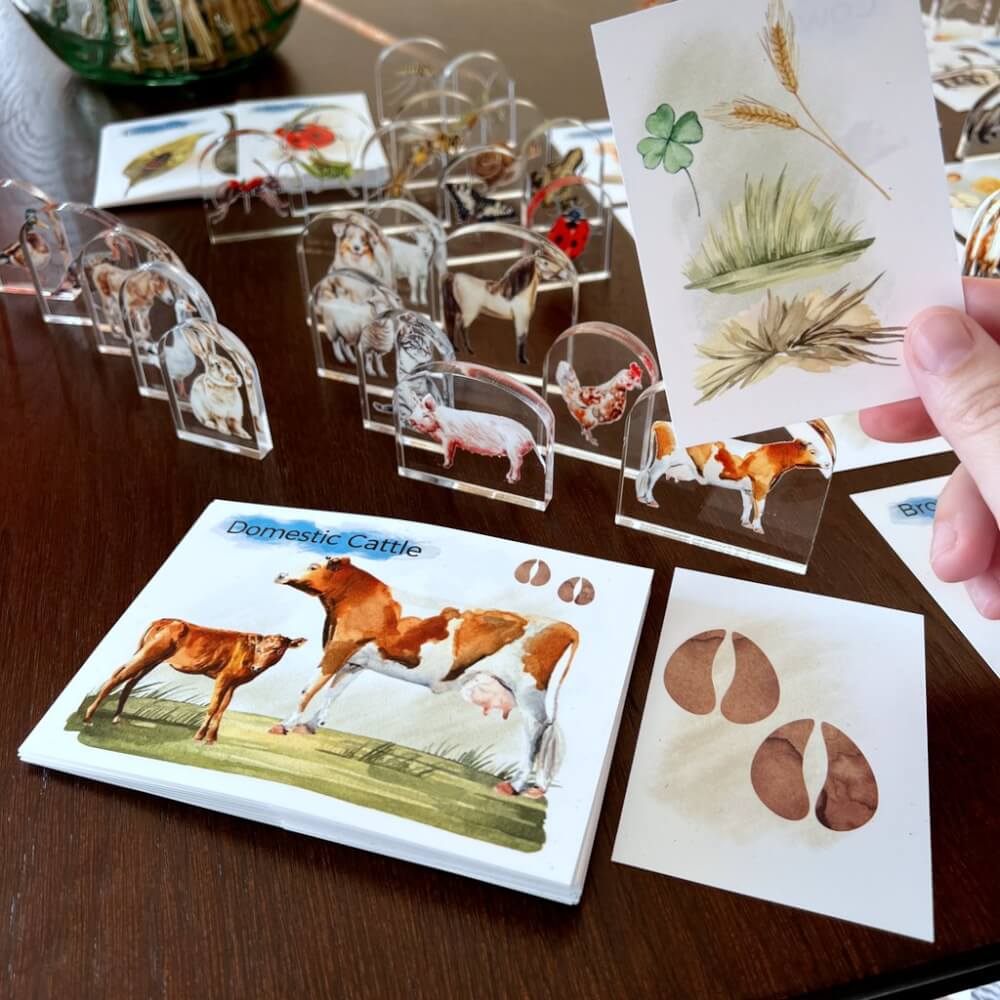 MEGA conjunto de fichas didácticas para crianças - 117 fichas de animais + 39 figuras com imagem